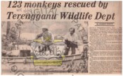123 Monkeys Rescue By Terengganu Wild Life Dept (09/11/1983- New Straits Times)