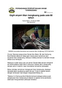 Gigih Anyam Tikar Mengkuang Pada Usia 88 Tahun (13/1/2026-Harian Metro)