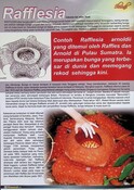 Artikel Raflesia