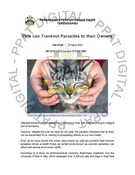 Pets can Transmit Parasites to their Owners (20/03/2023 - The STAR)