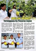 Artikel : Melon Manis Terengganu Ke Pasaran Jepun