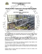 Black Panther Captured In Sungai Siputs Felda Lasah (3 Feb 2024-New Straits Times)