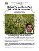 Melaka Tanam Benih Padi MR297 Mulai November (14/03/2024-Sinar Harian)