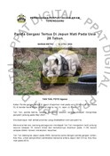 Panda Gergasi Tertua Di Jepun Mati Pada Usia 28 Tahun (Harian Metro - 02/04/2024)