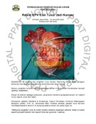 Rawat HPV Elak Tukar Jadi Kanser (18/01/2024-Utusan Malaysia)
